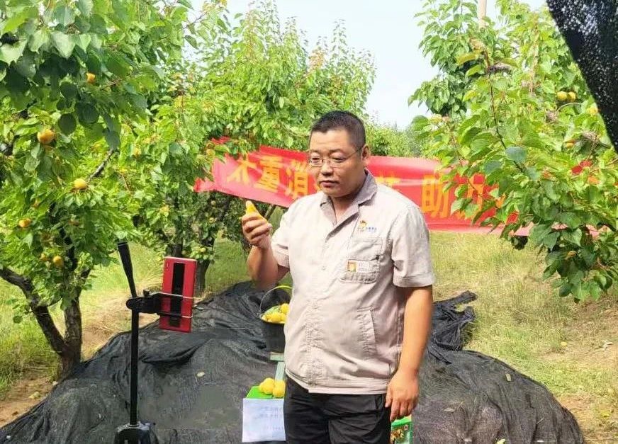 银娱优越会·GEG(中国)股份有限公司